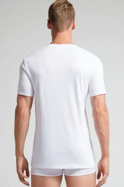 100% Superior Cotton T-Shirt