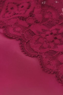 Lace and Microfiber ‘80s Style Brazilian