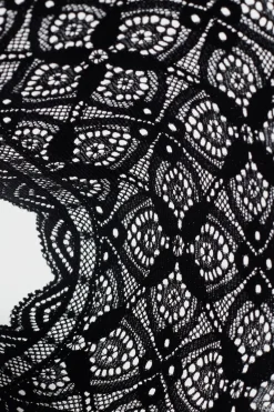 Lace and Silk Bikini Briefs