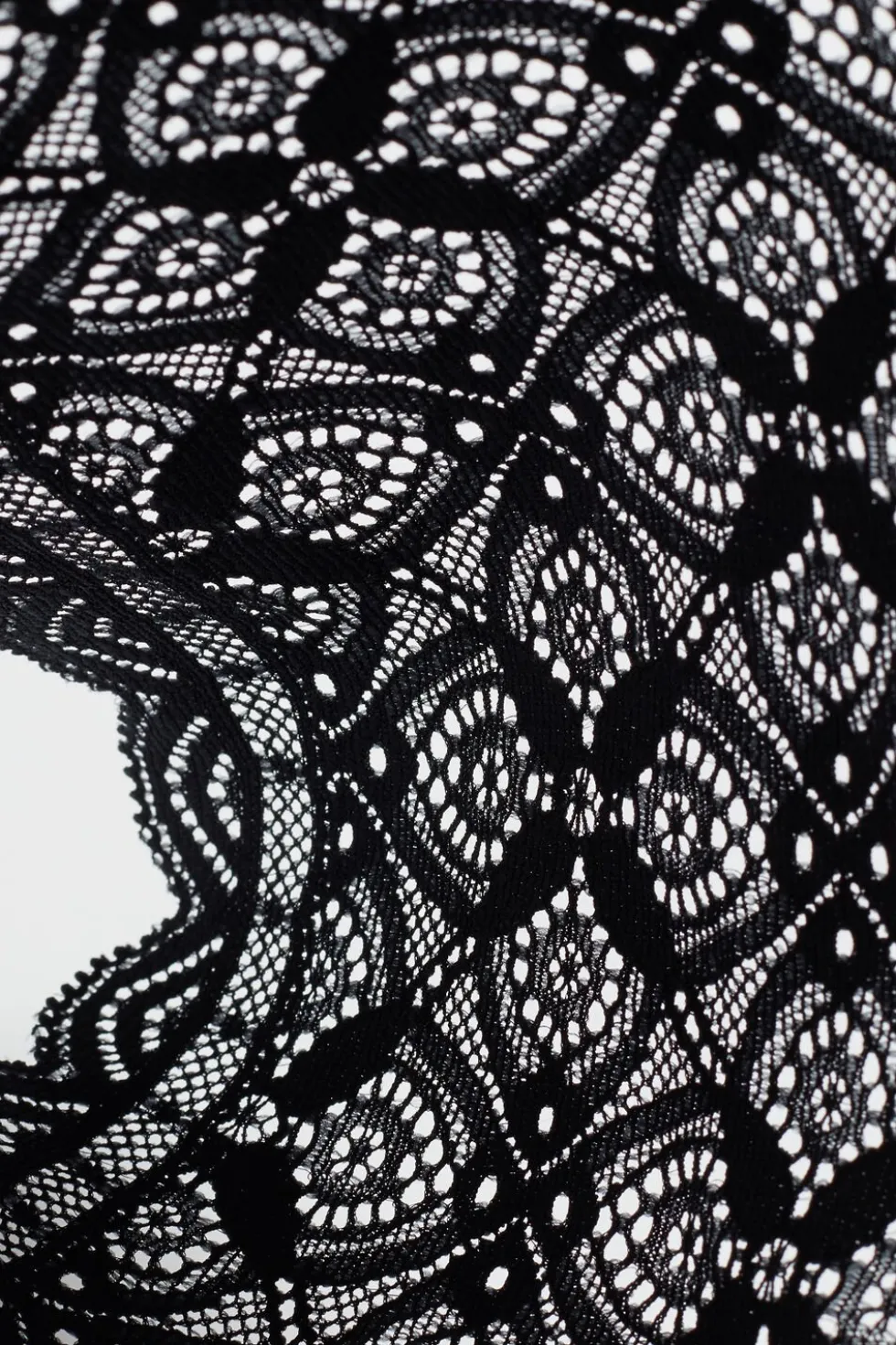 Lace and Silk Bikini Briefs