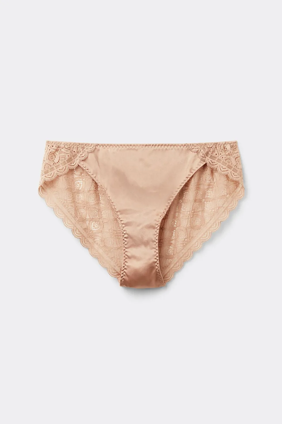Lace and Silk Bikini Briefs
