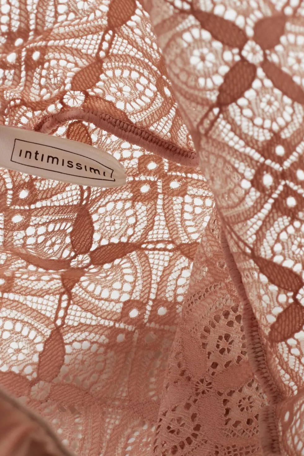 Lace and Silk Bikini Briefs