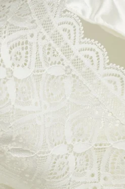 Lace and Silk Bikini Briefs