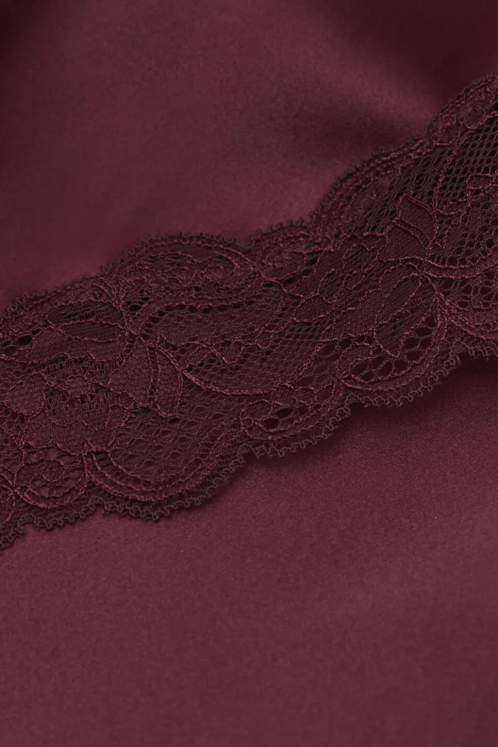 Lace and Silk Top