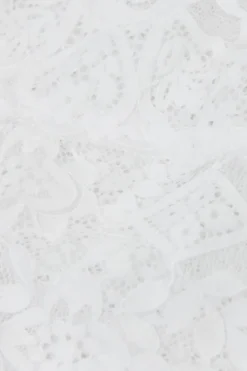 Lace Brazilian