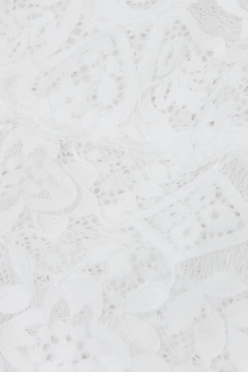 Lace Brazilian