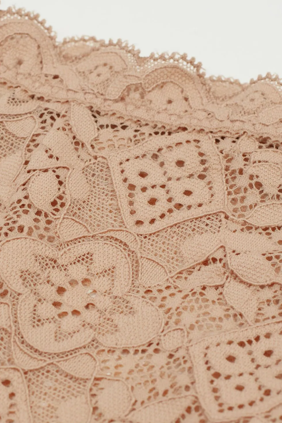 Lace High Waist Hipster