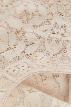 Lace High Waist Hipster