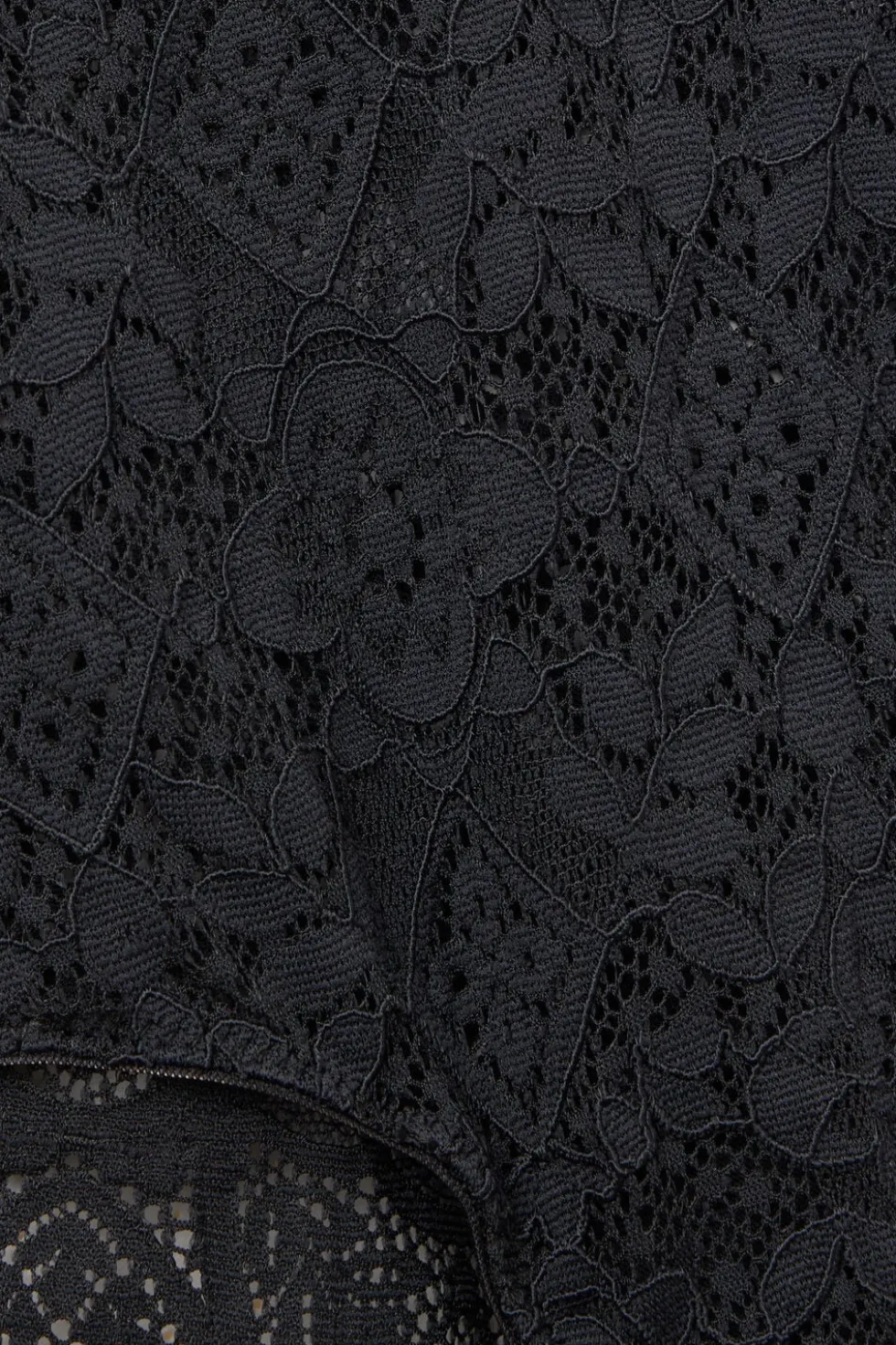 Lace High Waist Hipster