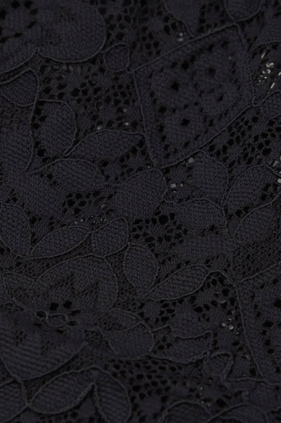 Lace Hipster Brazilian