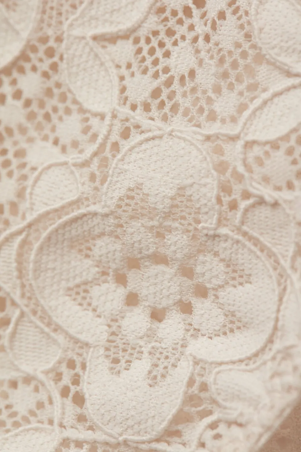 Low Rise Lace Panties