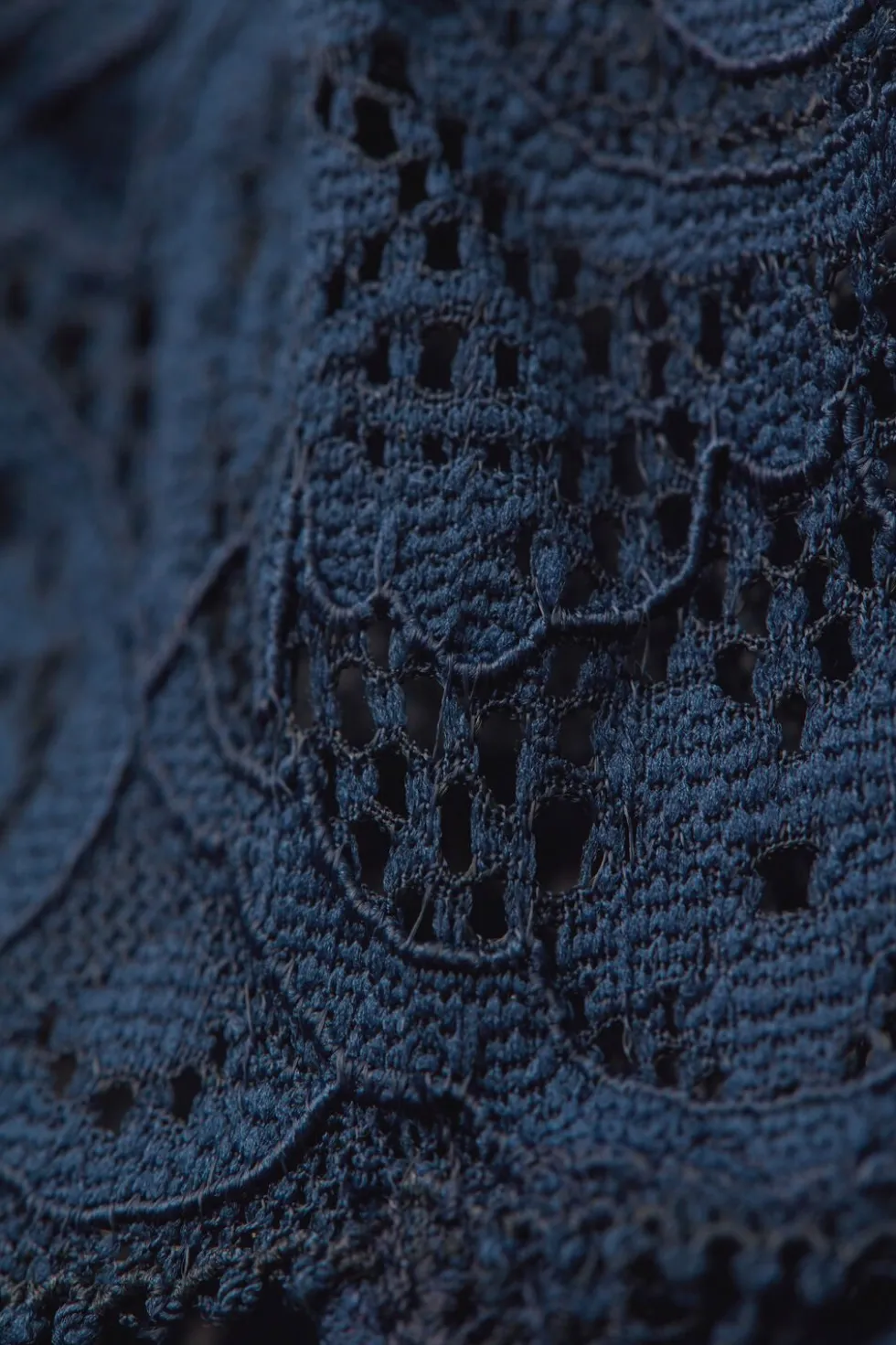 Low Rise Lace Panties