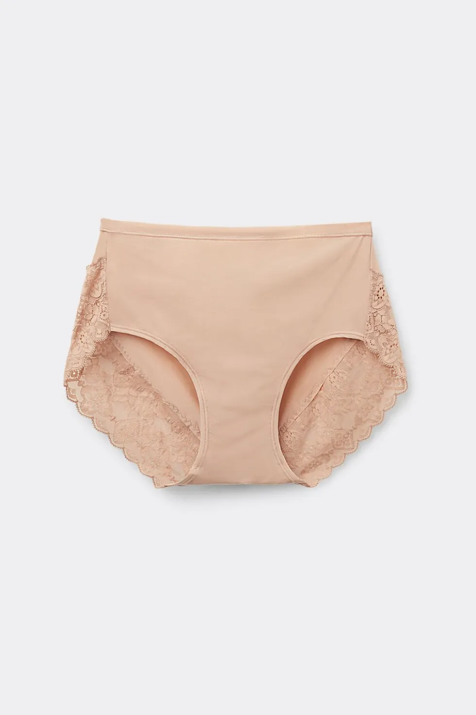 Microfiber and Lace High Rise Panties