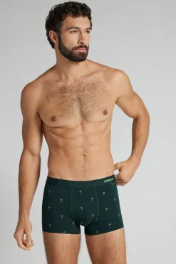 Palm Tree Print Superior Cotton Boxers
