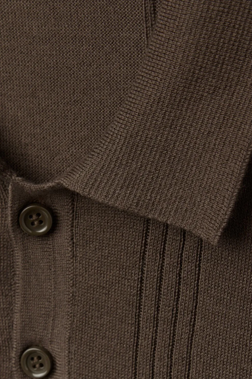 Polo in 100% Cotton