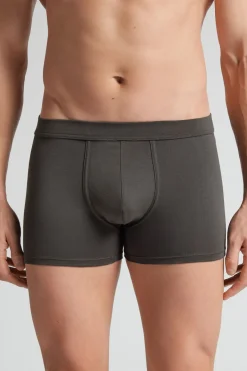 Superior Cotton Boxers