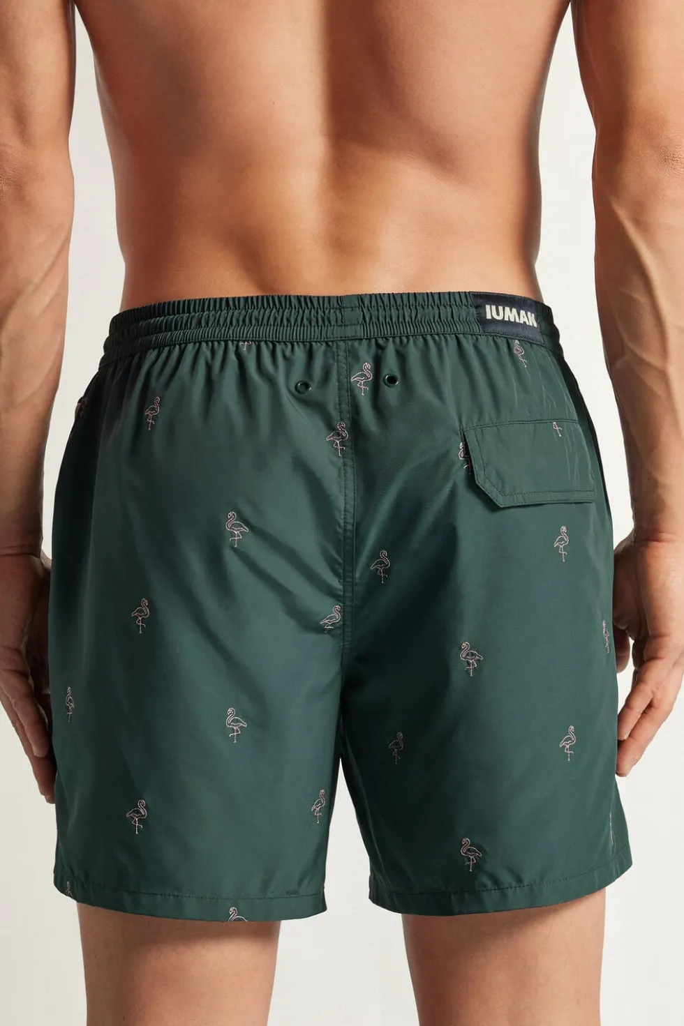 Swim Trunks with Embroidered Flamingos
